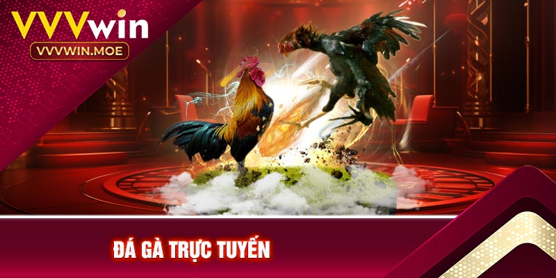 Đá gà trực tuyến